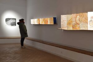 Exposición-VII-Residencias-Artísticas-de-La-Puebla-de-Cazalla-(Ángel-Peris)(3)